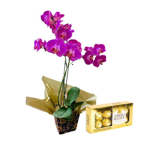 Orquidea com Ferrero Rocher